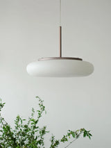 lustres modernes en led pour un éclairage minimaliste élégant