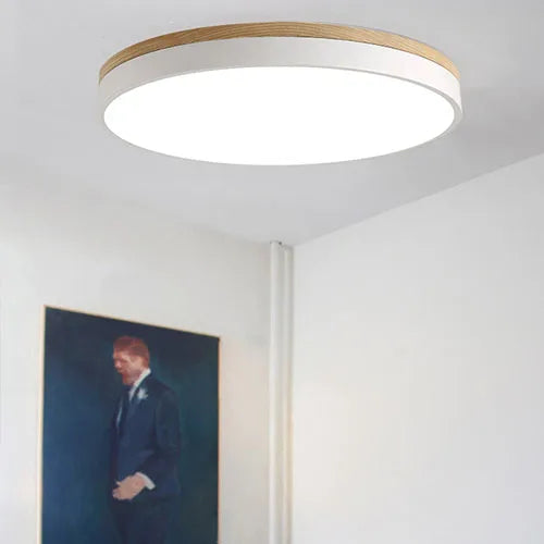 plafonniers led luminaires naturels pour éclairage général