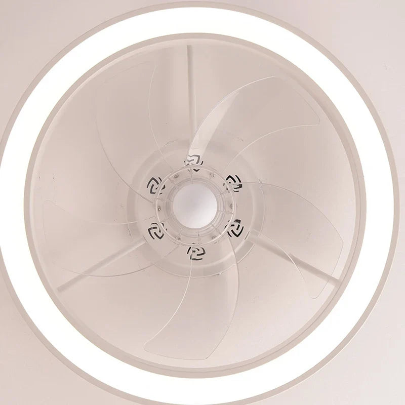 Modern LED Fan Light Remote Control Timed Electric Fan Bedroom, Living Room Decoration, Home Decoration LED Ceiling Fan Light
