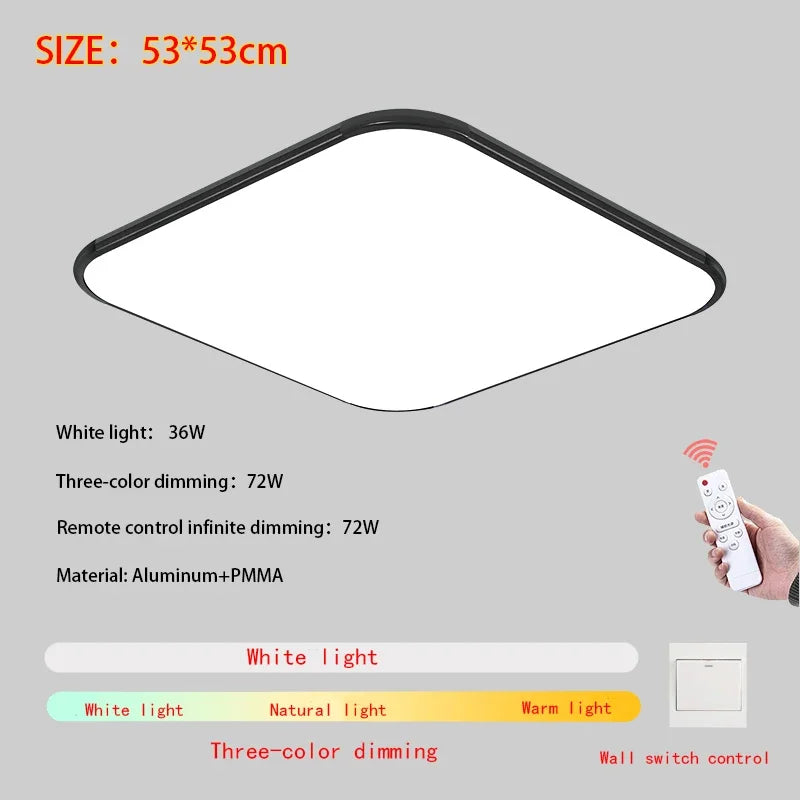 Modern Living Room Light 2024 Ultra Thin LED Ceiling Light Remote Control Dimming Restaurant Bedroom Balcony Panel Light