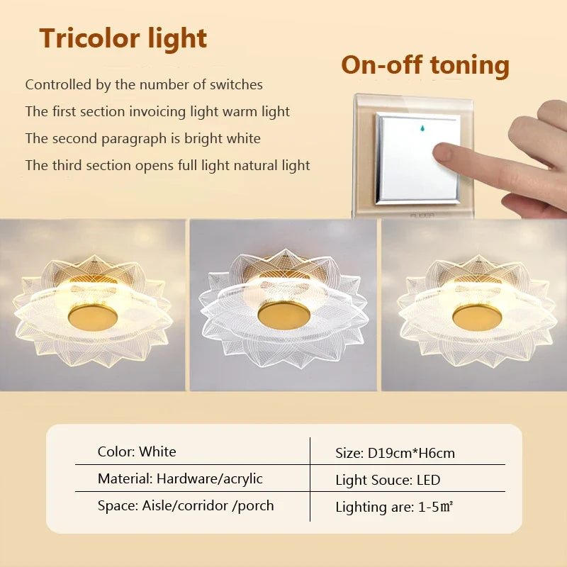 plafonnier led moderne en acrylique design pour intérieur décoratif