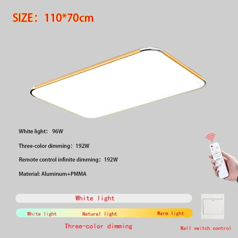 Modern Living Room Light 2024 Ultra Thin LED Ceiling Light Remote Control Dimming Restaurant Bedroom Balcony Panel Light