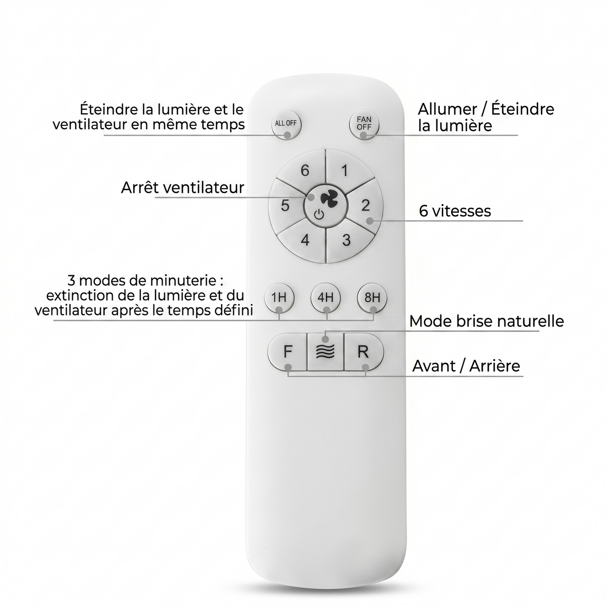 Ventilateur de plafond cinq pales sombres et corps nickel brossé — Airelle