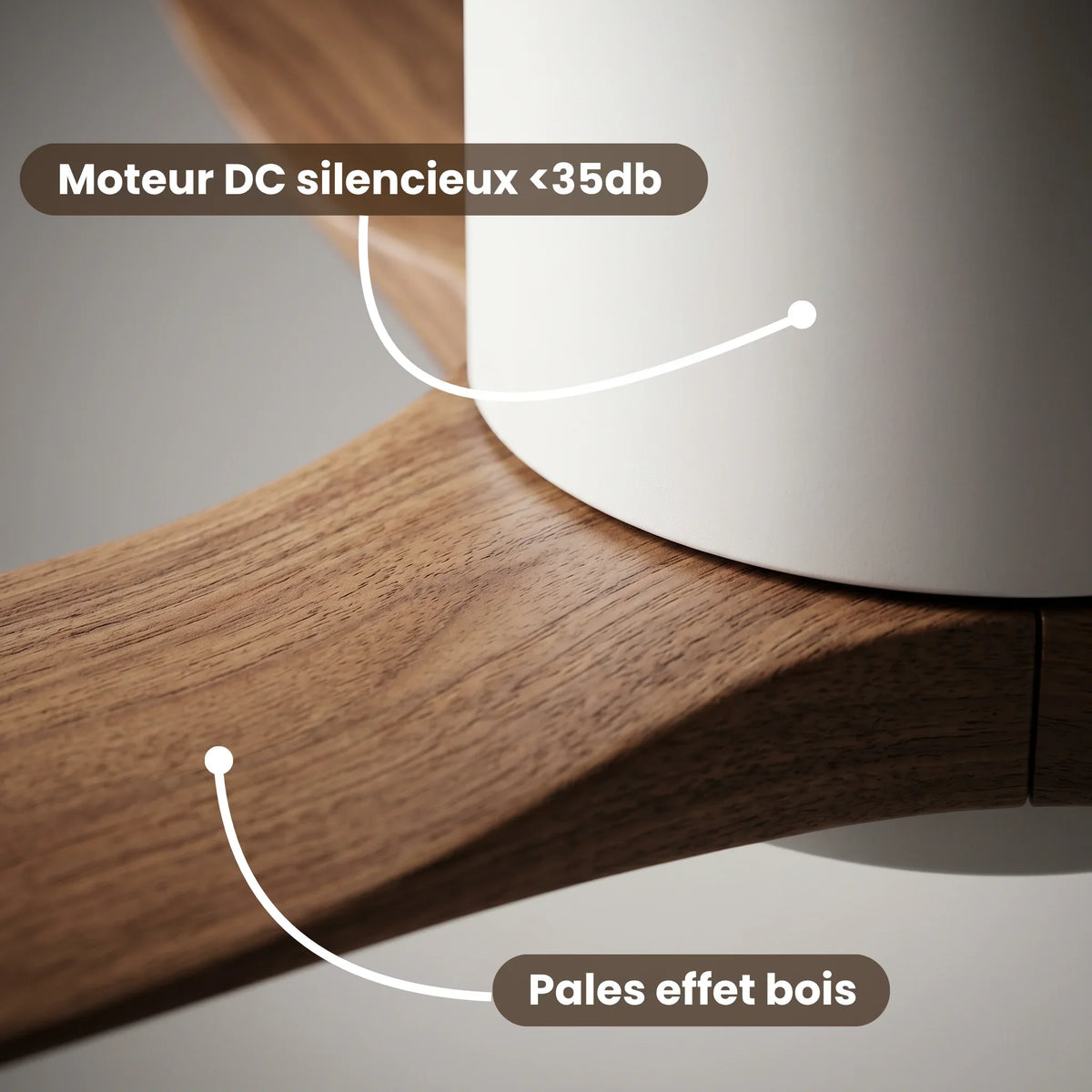 Ventilateur de plafond plat à trois pales blanches, sans lumière — Abricotier