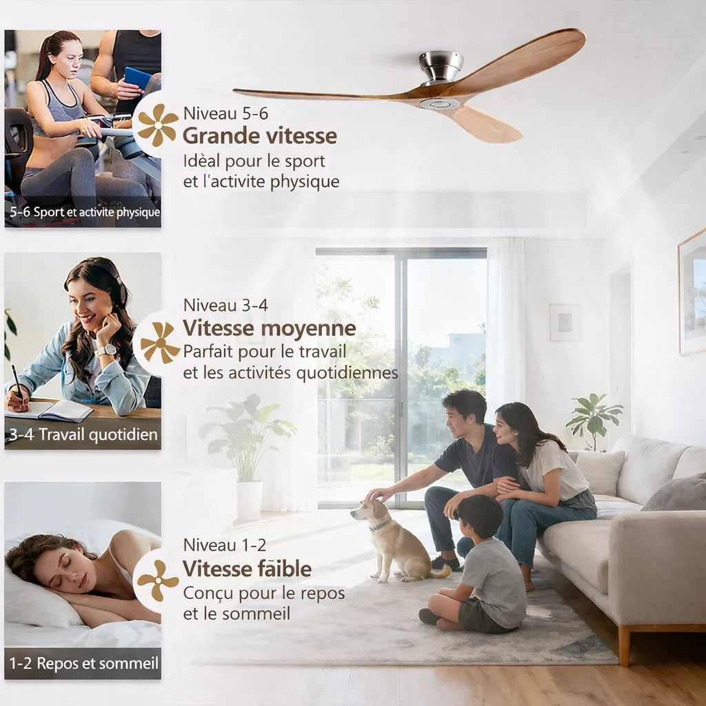 Ventilateur de plafond LED noir à trois pales en bois massif — Vesce