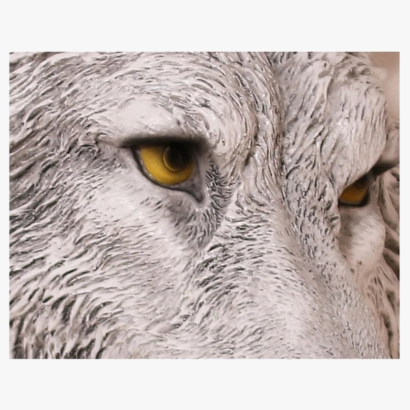 applique murale vintage en résine loup avec lumière led