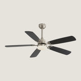 Ventilateur de plafond cinq pales sombres et corps nickel brossé — Airelle