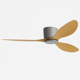 Haute qualité nordique plancher bas moderne ventilateur de plafond lampe DC LED ventilateur de plafond avec télécommande ménage simple ventilateur de plafond