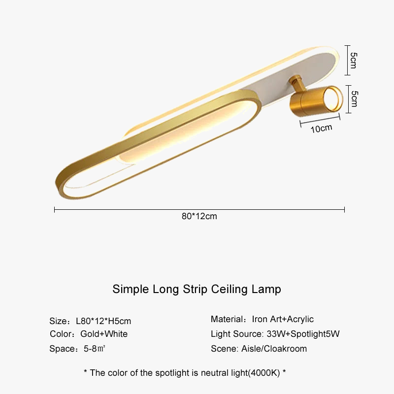 lampe de plafond moderne à leds avec projecteur décoratif