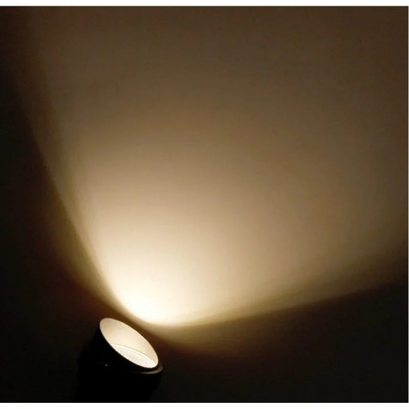 lampes de jardin led étanches pour extérieur et paysages