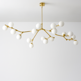 lustre moderne en verre avec branches led suspendues
