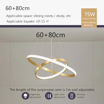 lustre moderne style nordique avec télécommande et anneau lumineux