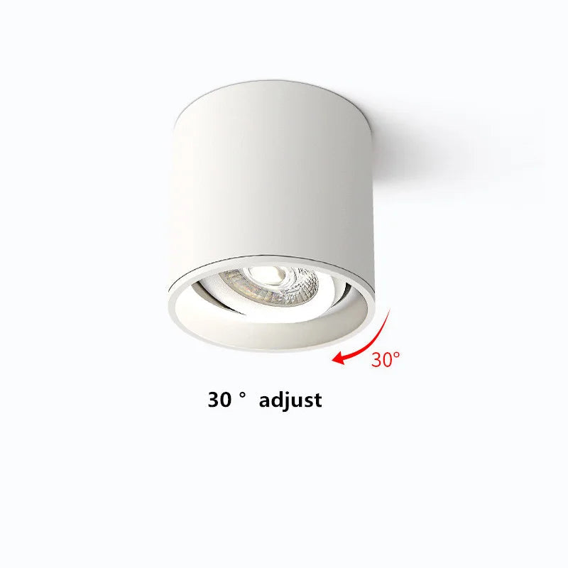 nouveaux spots led cylindriques à intensité variable pour éclairage intérieur