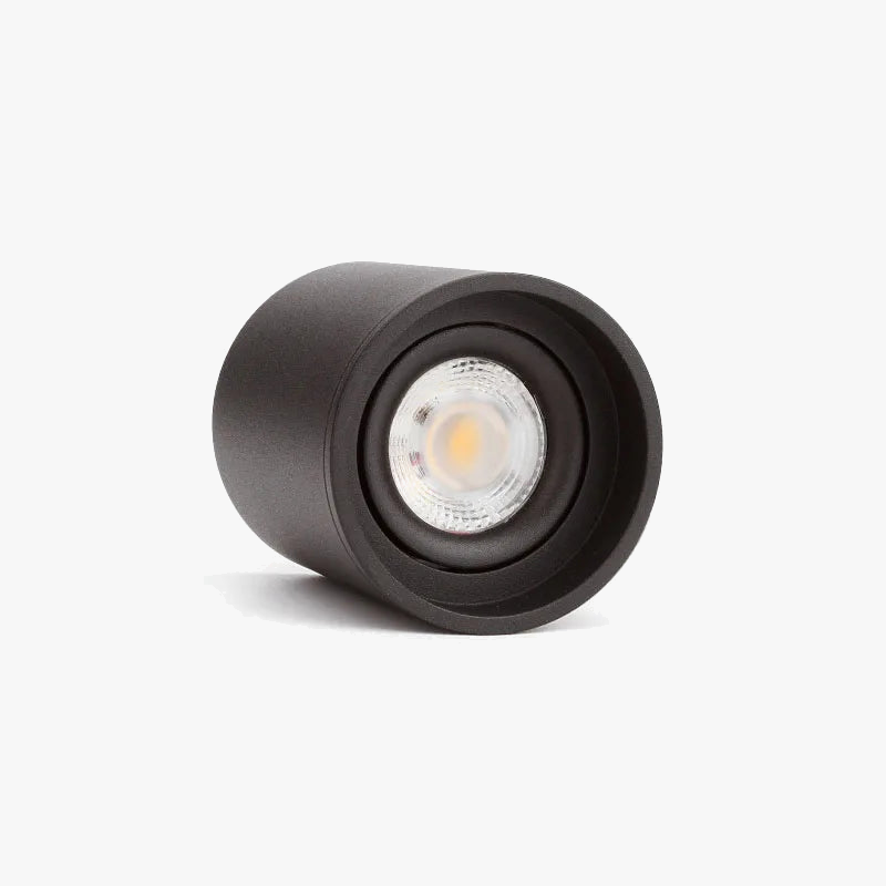 plafonnier led dimmable pour intérieur éclairage moderne 6000k