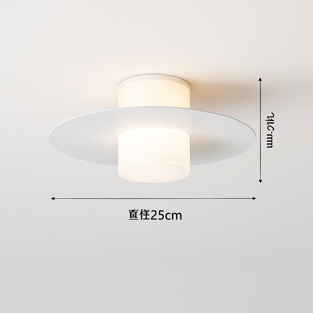 plafonnier led moderne pour allée couloir et salon