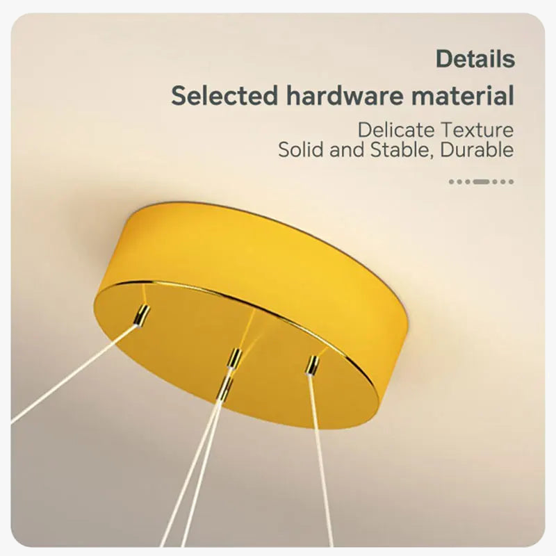 plafonnier led moderne pour décoration intérieure et éclairage élégant