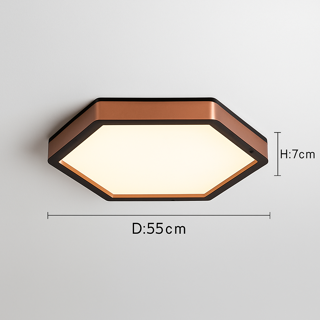 plafonnier moderne créatif rond style nordique éclairage LED décoratif