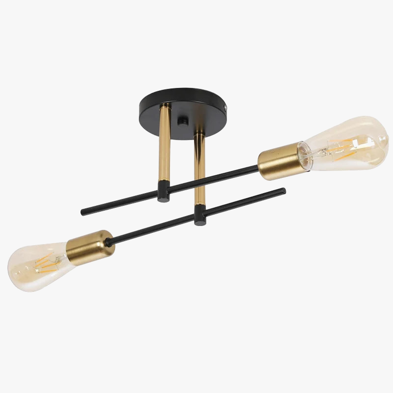 plafonnier moderne en fer à deux lumières décoratif pour intérieur