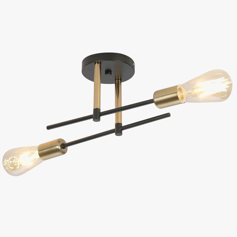 plafonnier moderne en fer à deux lumières décoratif pour intérieur