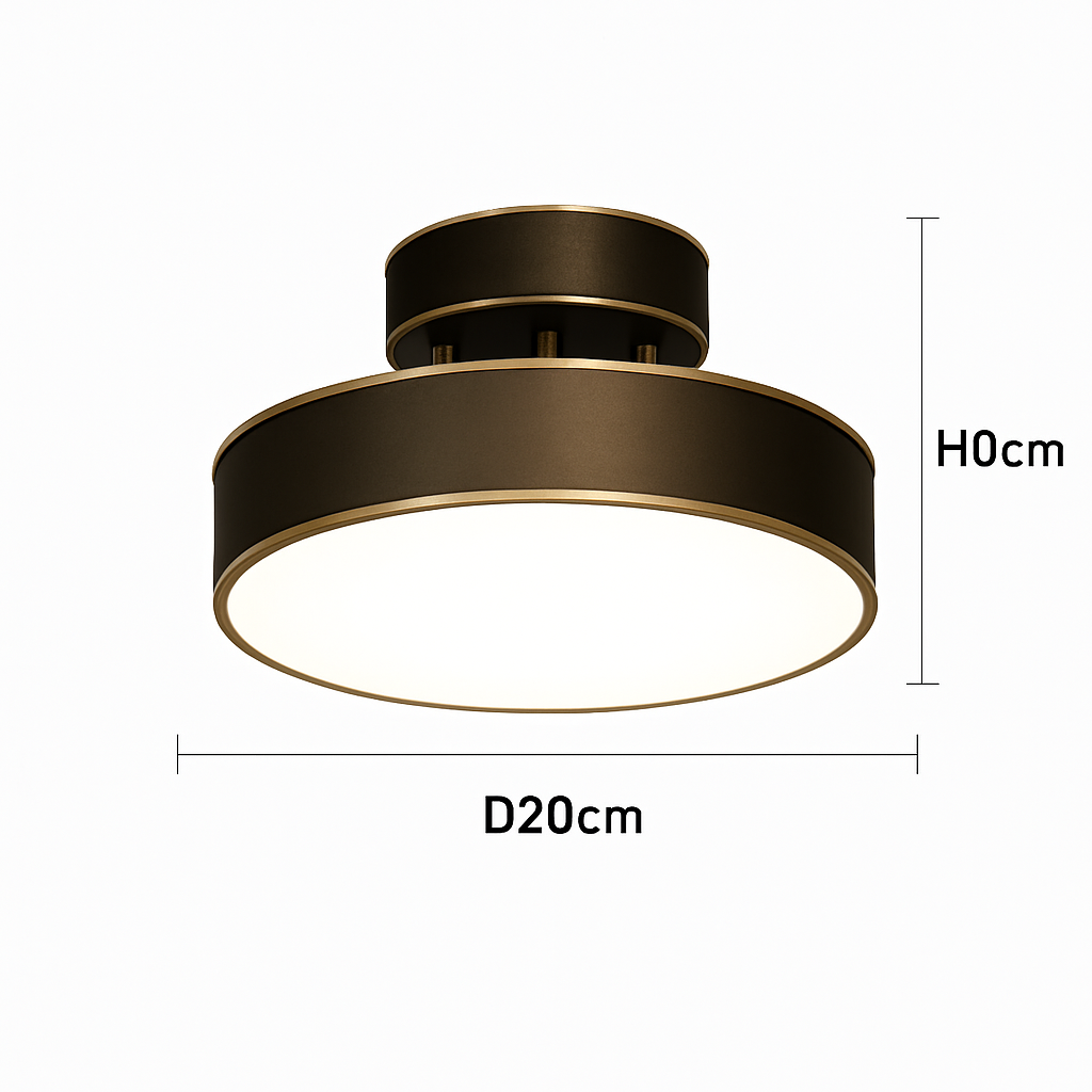 plafonnier nordique simple rond led éclairage lustre
