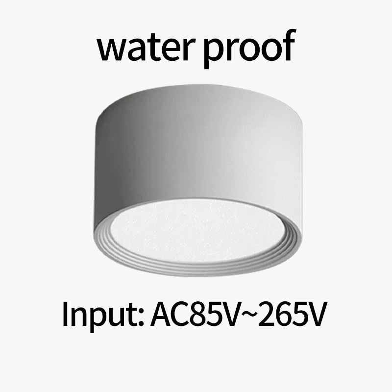 plafonnier étanche led haute luminosité pour extérieur