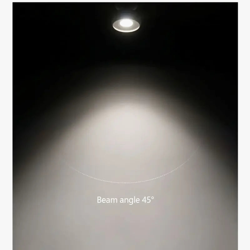 projecteur led rotatif réglable pour entrée allée décor spot