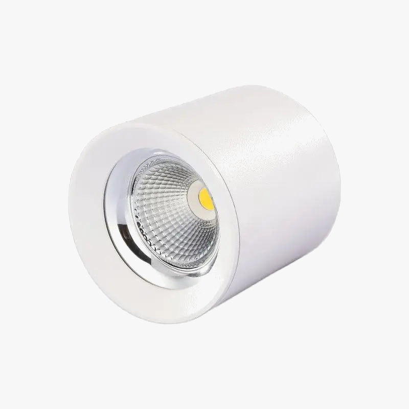 qiuboss spot led cylindre à intensité variable pour éclairage de plafond