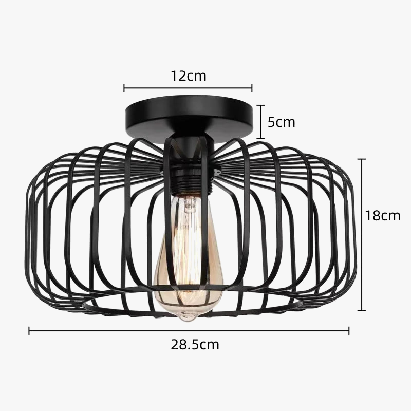 Simple cage à oiseaux plafonnier intérieur chambre salon couloir plafonnier E26 lampes de restaurant luminaires décoratifs AC 110 V