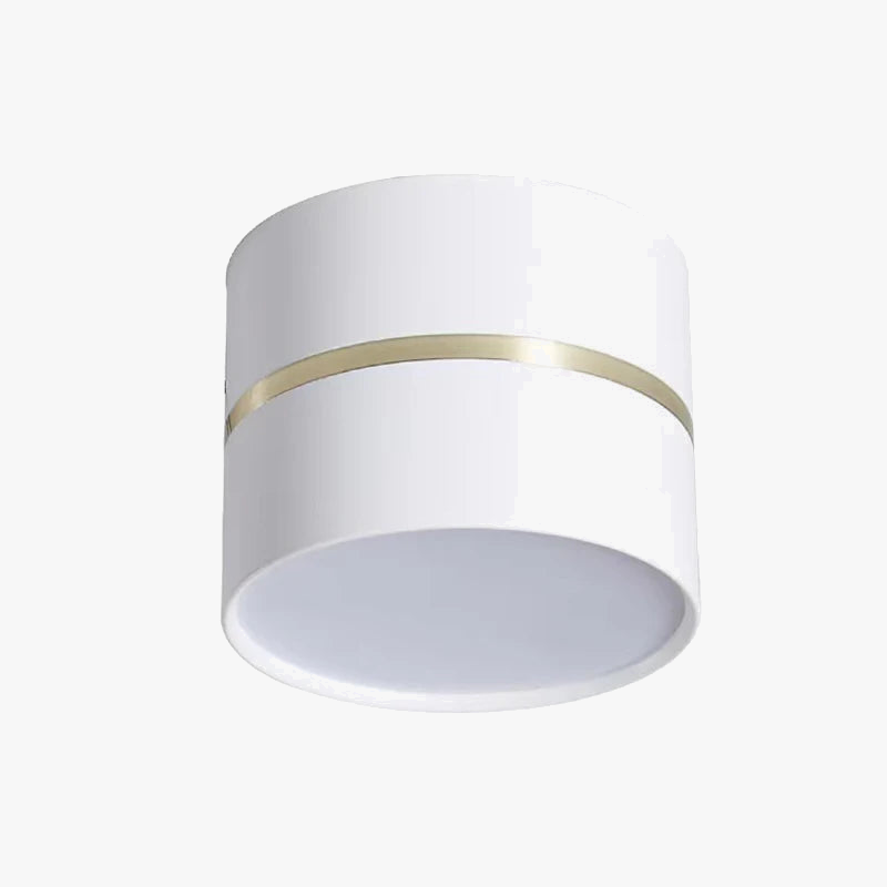 spot led minimaliste pour intérieur moderne et élégant