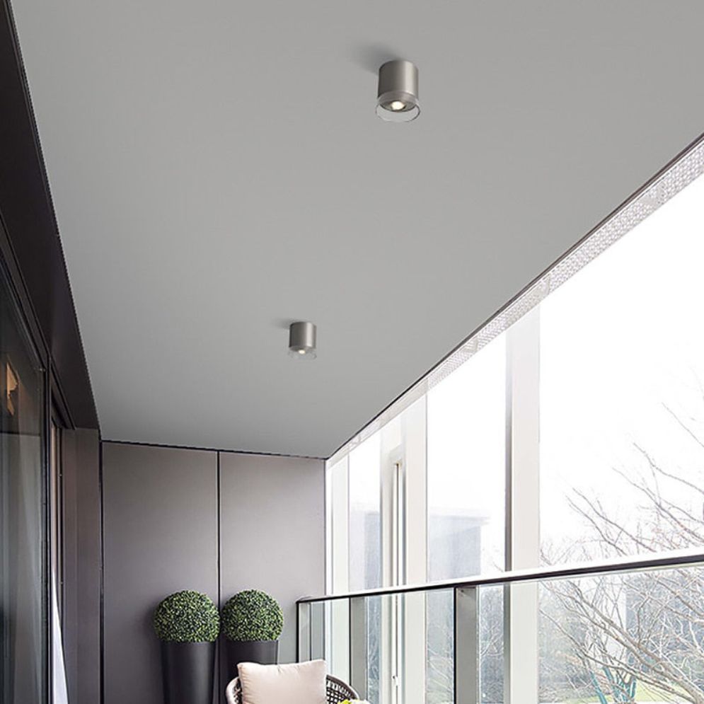 Spot de plafond cylindrique en nickel et verre — Bogue