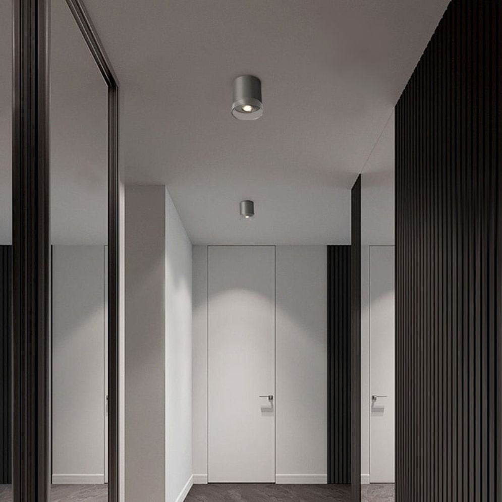 Spot de plafond cylindrique en nickel et verre — Bogue