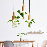 Suspension led industrielle en bois et verre pour plantes