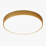 Ultra-mince 5 cm Or LED Plafonnier Moderne Rond Montage En Surface Plafonnier Panneau Lampe Télécommande Lumière Pour Foyer Chambre