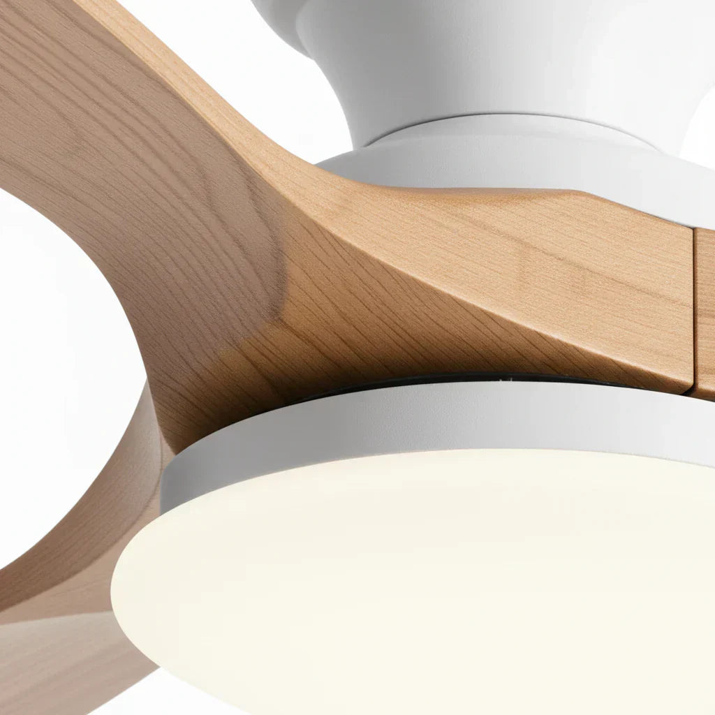 Ventilateur de plafond LED à pales claires et moteur blanc — Cardère